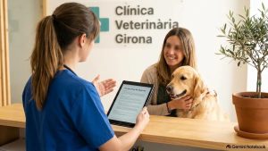 Franquicias, copagos y reembolsos en seguros veterinarios para perros y gatos en Cataluña