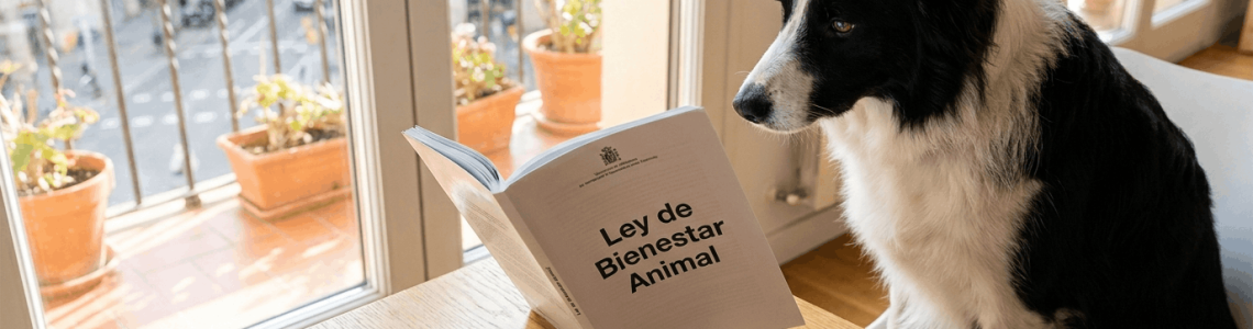 Guías Legales para Mascotas en Cataluña 2026